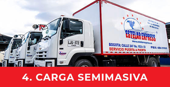 <b>4. Carga Semimasiva.</b>