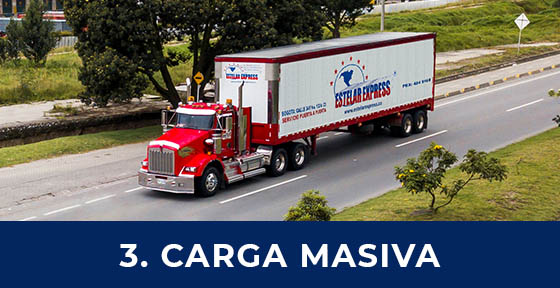 <b>3. Carga Masiva</b>