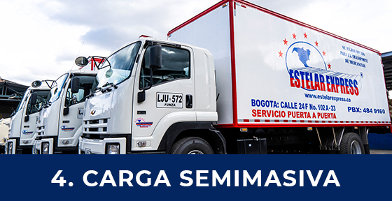 <b>4. Carga Semimasiva.</b>